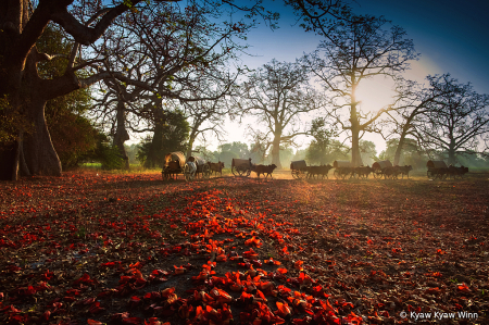 The Way of Flower