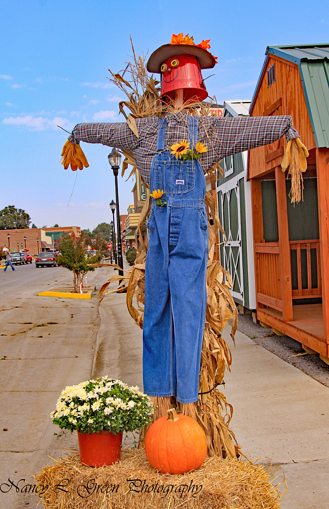 Harvest Time