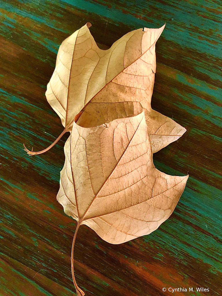 From Tree to Table 