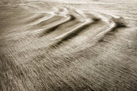 Dunedin Sand Patterns #2