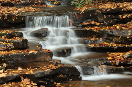 Nature's Stairsteps