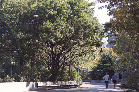 Park Walkway By Hudson River