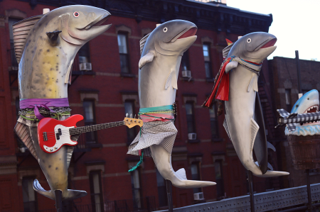 The High Line Fish Out Of Water