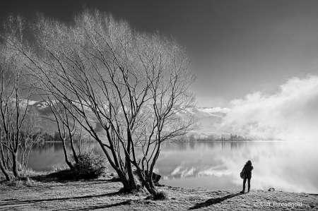 Looking over Lake Dunstan