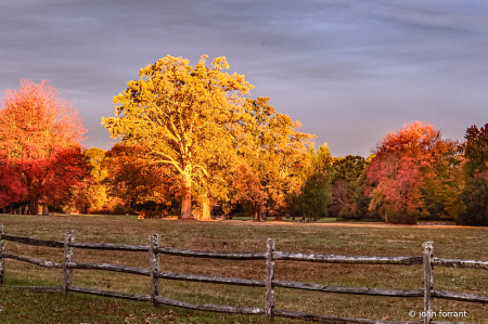 Fall in Whenam 