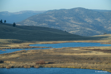 BeautyofYellowstone