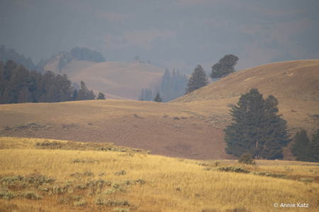 YellowstoneLandscape