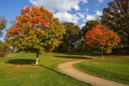 Autumn in the Park 