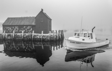 Misty Morning in Rockport