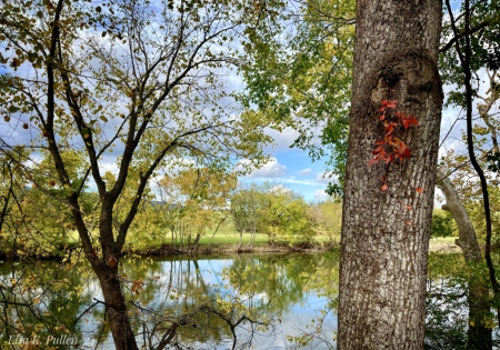 Autumn Daze