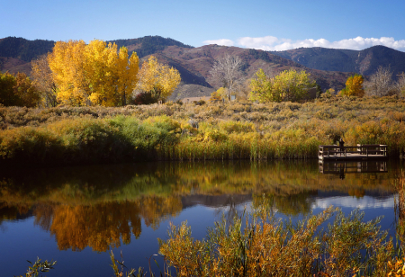 Fall at the Fishing Pond