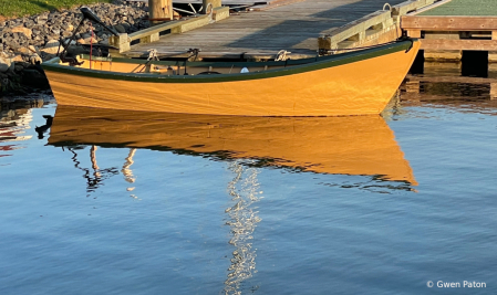 Marigold Reflection