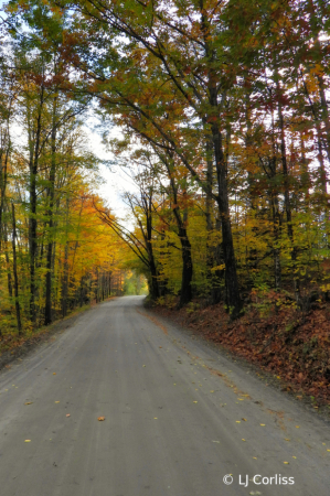 afternoon drive