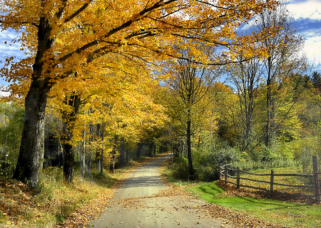 Down a Country Road