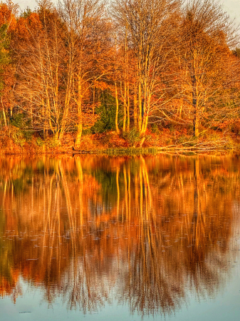 Orange Reflections