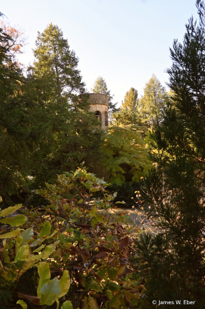 Chimes Tower hiding in the trees