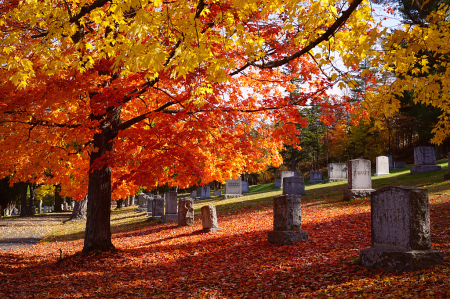 Autumn Walk at the Cemetery