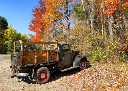 Autumn in Allegany