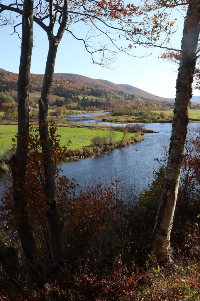 Salmon Fishing on The Margaree CB