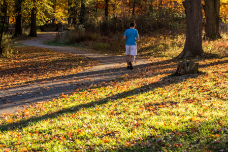 A Walk in the Park 