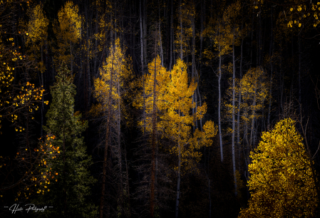 Colorado End of Season