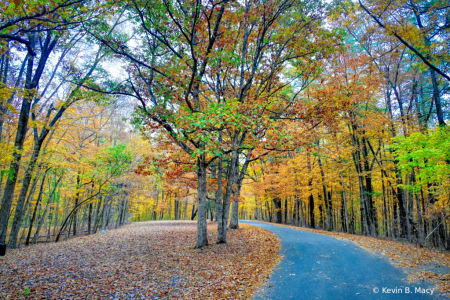 Fall Colors Along the Drive