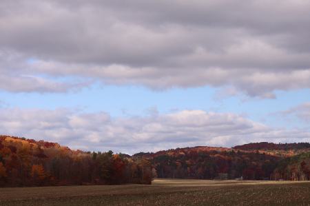 The Field In Fall