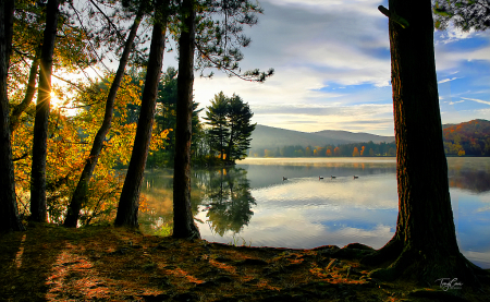 Early Morning on Red House Lake