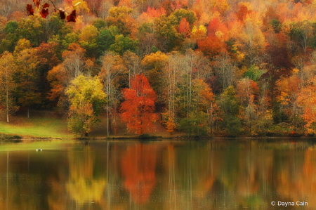 Fall At Indian Mountain Lake