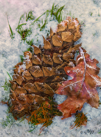 First snow