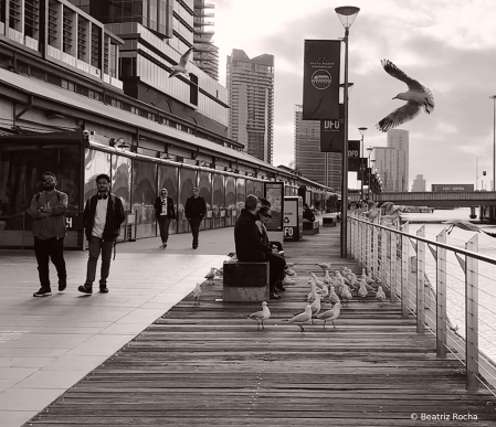 Melbourne Promenade