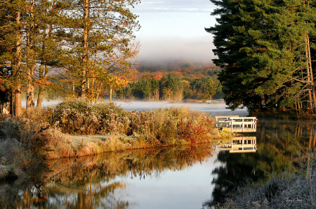 Morning in Allegany