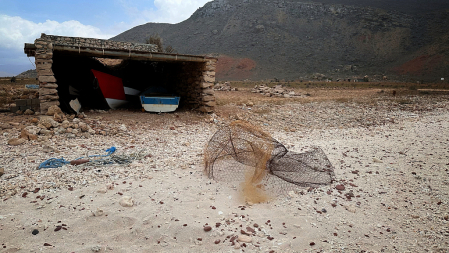 ~ ~ SOCOTRA BEACH SCENE ~ ~ 