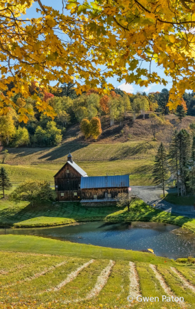 Vermont Beauty