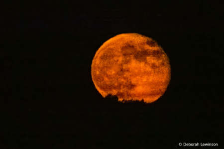 Harvest moonrise