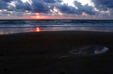 Beach Puddle