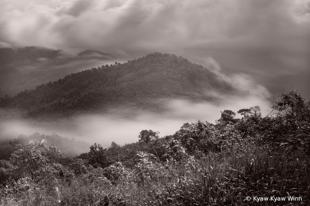 Landscape in BW