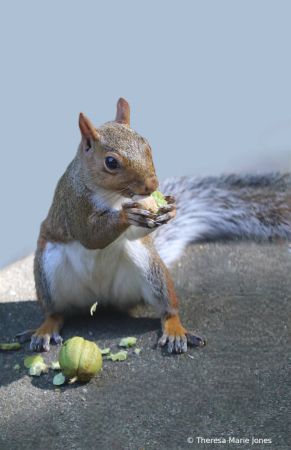 Thank You for our Food