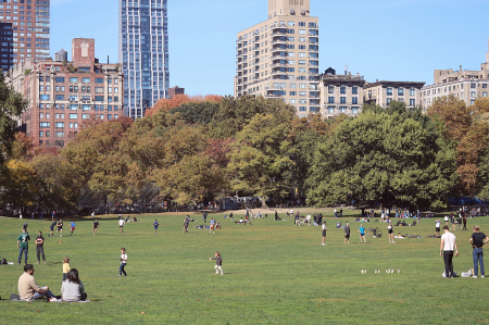 Relaxing At The Sheep meadow