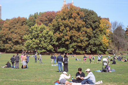 Playing In The Sheep Meadow