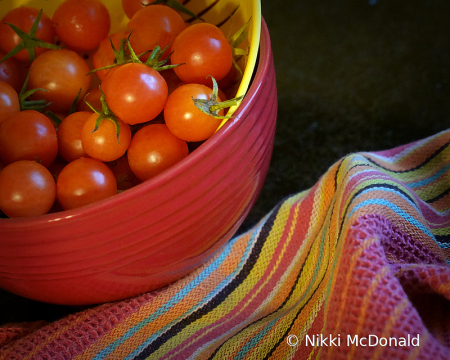 Final Harvest