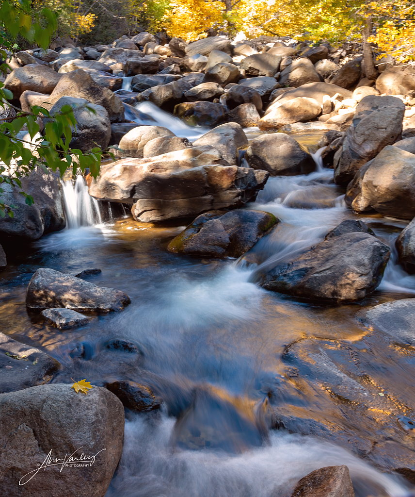 Lots of Little Waterfalls