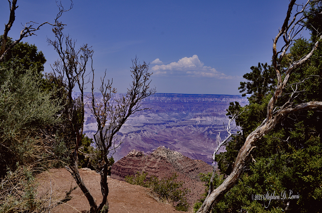 Birds Eye Canyon View - ID: 16129791 © Stephen D. Lewis