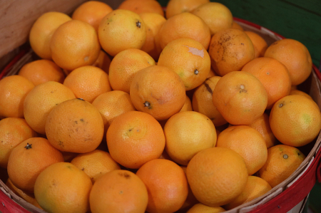 Basket of Mandarins