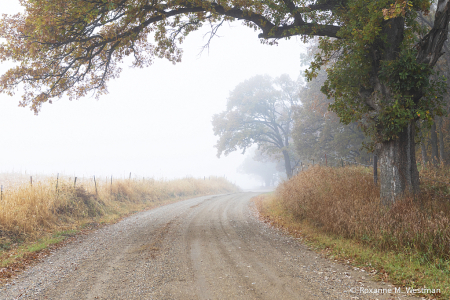 North Dakota backroads on a foggy day