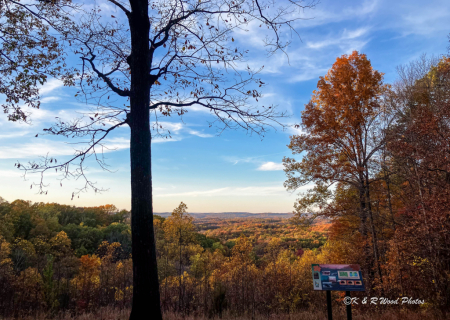 Hesitation Point