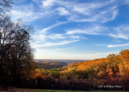 Fall colors