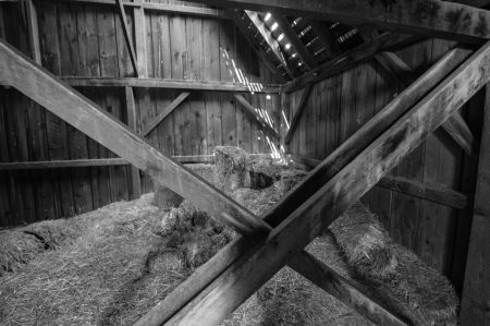 Zig-Zag in the Barn