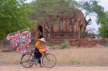 Toys Seller