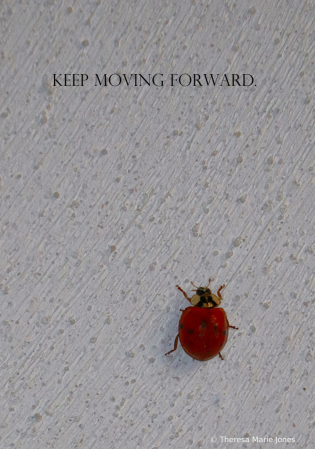 Keep Moving Forward